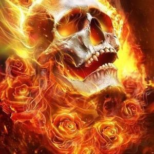 Meet your Posher, Timothy